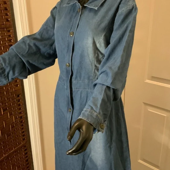 Ursime Denim Maxi Dress - Picture 7 of 9